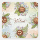 Search for walnuts stickers Nature