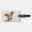 Search for italian travel accessories Dog