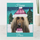 Search for hound dog christmas cards Afghan hounds
