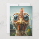 Search for chickens photography Funny chicken