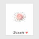 Search for pink rose petals stickers Pretty