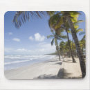 Search for caribbean mouse mats Trinidad