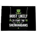 Search for irish gift bags 2025