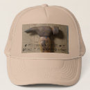 Search for carpenter hats Construction