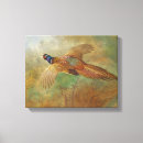 Search for pheasant canvas prints Wildlife
