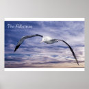Search for wildlife posters Sea