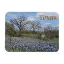 Search for state flower Bluebonnet