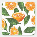 Search for citrus pattern stickers Summer