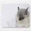 Search for norwegian mouse mats Winter