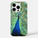 Search for tail feather iphone cases Blue