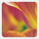 Search for lisse stickers Europe
