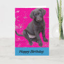 Search for chocolate lab birthday cards Puppy