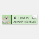 Search for labrador bumper stickers Yellow lab