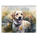 Search for labrador calendars Puppies