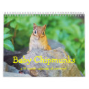 Search for chipmunk calendars Animal