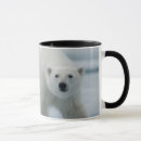 Search for ursus mugs Carnivore