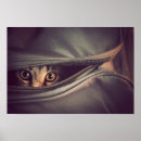 Search for alertness posters Pet