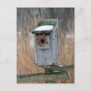 Search for snow birds postcards Bird house