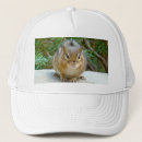 Search for chipmunk hats Nature