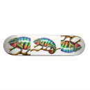 Search for chameleon skateboards Animals