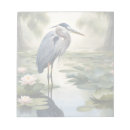 Search for herons Wildlife