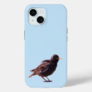 Search for starling iphone cases Bird