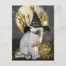 Search for witch cat postcards Cute