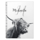 Search for cow notebooks Scotland