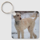 Search for standard key rings White