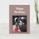 Search for funny boxer dog birthday cards Happy