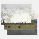 Search for elk wrapping paper Winter