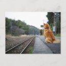 Search for rear view postcards Outdoors
