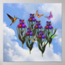 Search for butterfly iris posters Floral