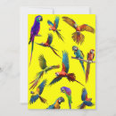 Search for macaw cards Jungle