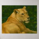 Search for lioness posters Big cat