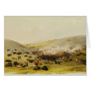 Search for the catlins postcards Hunting