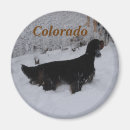 Search for colorado magnets Animal