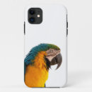 Search for macaw iphone cases Colourful