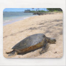 Search for hawaiian mouse mats Turtles