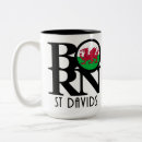 Search for st david mugs Wales