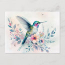 Search for wildlife art postcards Floral