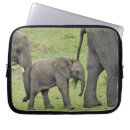 Search for serengeti cases Adam jones