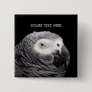 Search for parrot square badges Animals
