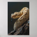 Search for geographical posters Travel