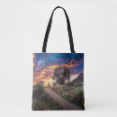 Search for sonoran accessories Sunset