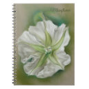 Search for morning glory notebooks Botanical