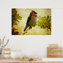 Search for cedar posters Wildlife