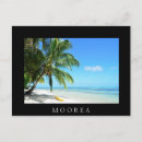 Search for black and white palm trees postcards Tropical
