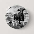 Search for white cloud round badges Photography