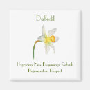 Search for daffodils magnets Botanical